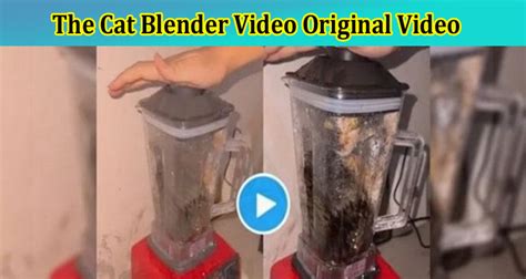 cat blender actual video|The Cat In Blender Video: A Disturbing Tale Of。